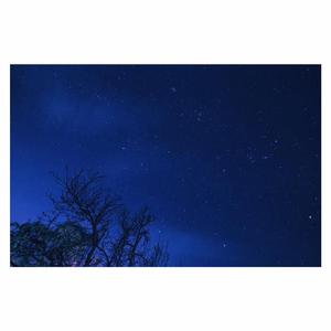 男女啪啪啪动态视频
