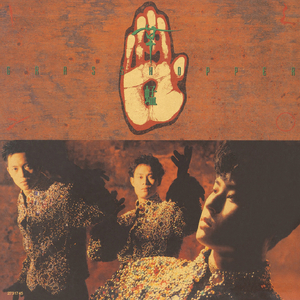 老头插女人的逼
