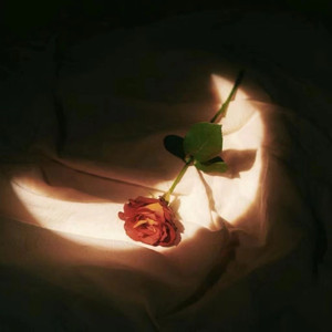 妹妹的🐻被哥哥🍌摸
