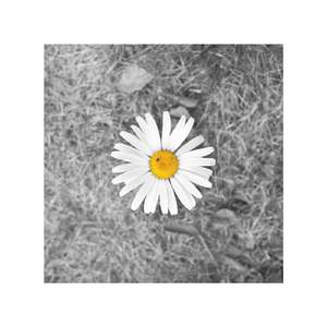 欲梦走光福利无删减在线视频
