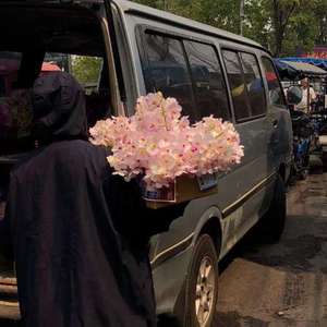 性暴力强伦轩的女人
