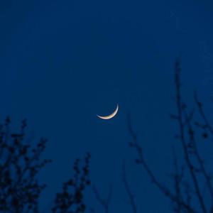 裸体美女航空性服务系列
